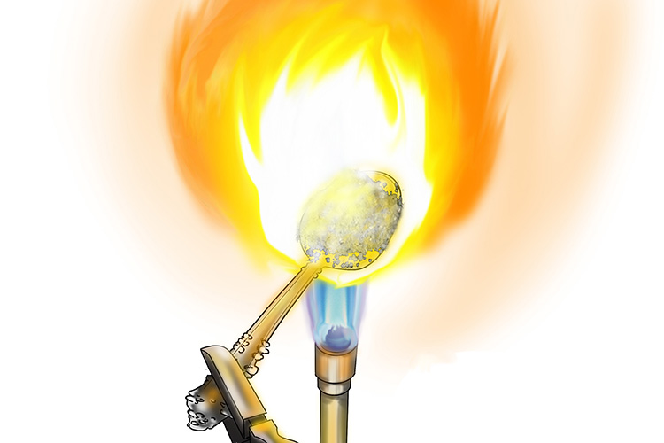 salt being melted on a bunsen burner's flame